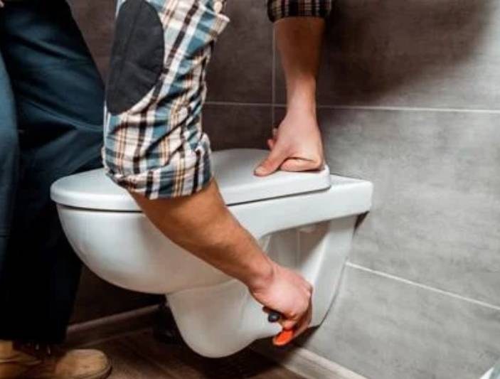Western toilet replacement
