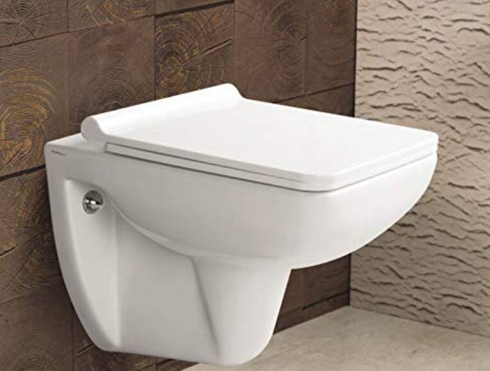  Western Toilet Installation 